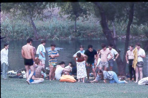Turtle Derby / City Park / San Marcos River / 1969